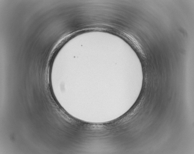 X0000114491180200911301100