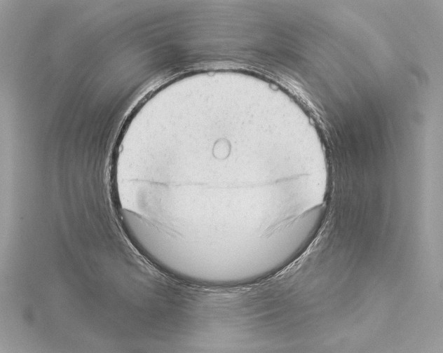 X0000114491181200911301100