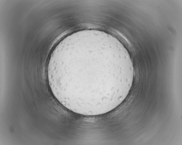 X0000114491182200911301100