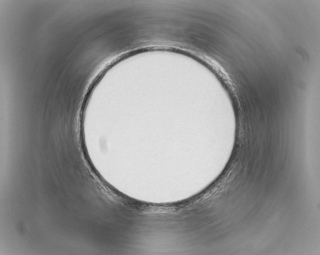 X0000114491183200911301100