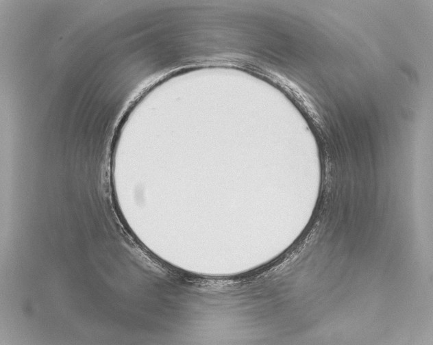 X0000114491184200911301100