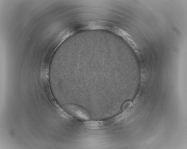 X0000114491185200911301100