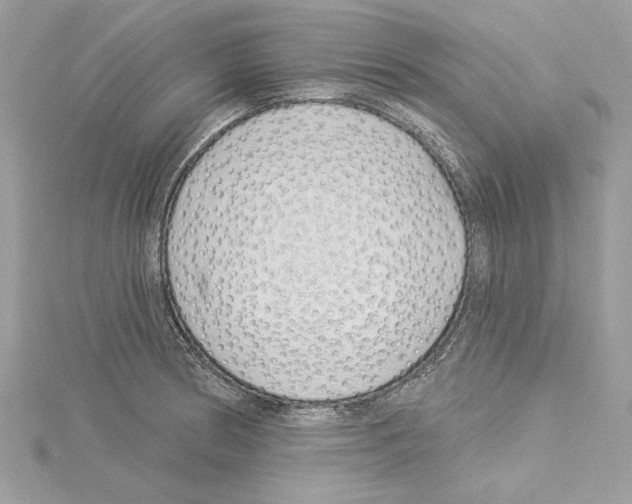 X0000114491186200911301100