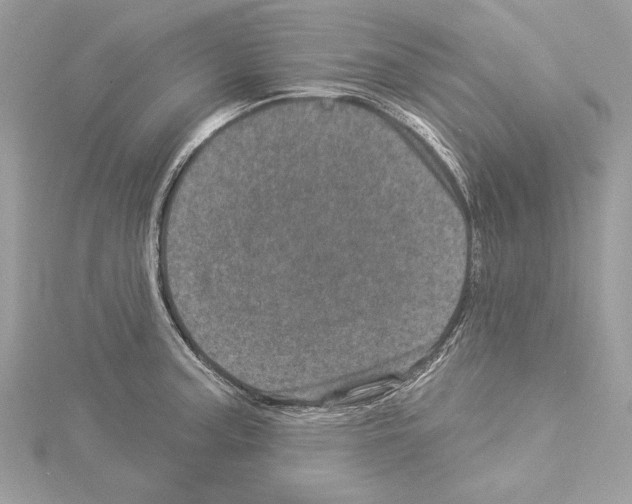 X0000114491187200911301100