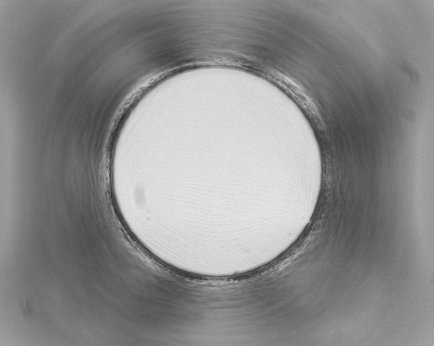 X0000114491188200911301059