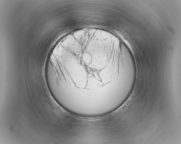 X0000114491189200911301059