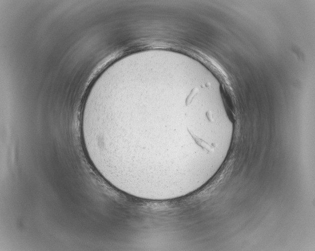 X0000114491190200911301059