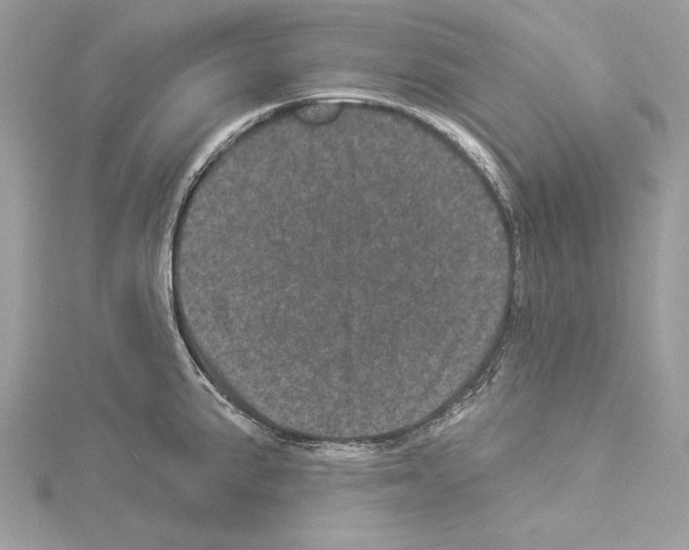 X0000114491191200911301059