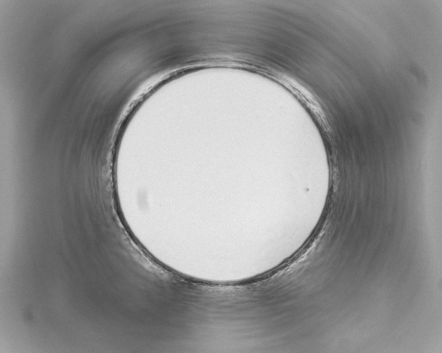 X0000114491192200911301059