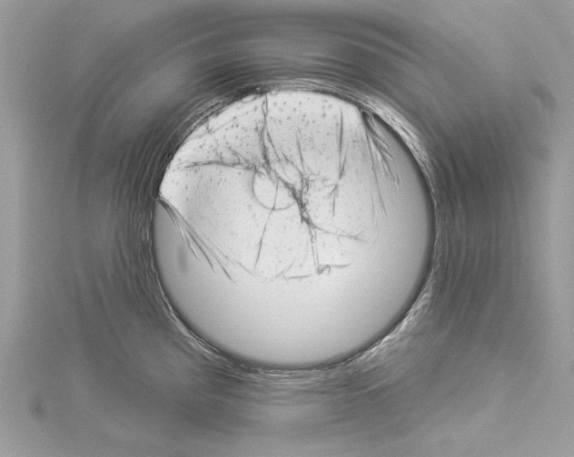 X0000114491193200911301059