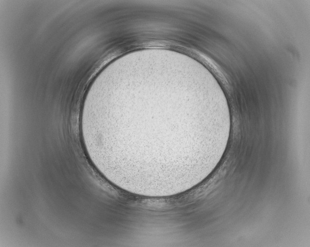 X0000114491194200911301059