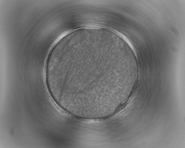 X0000114491195200911301059