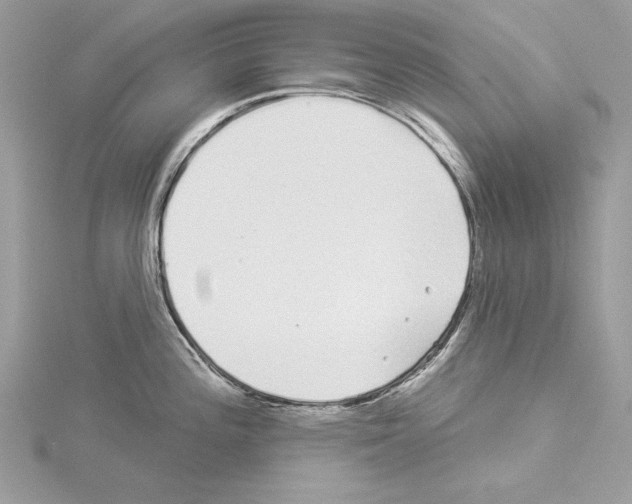 X0000114491196200911301059