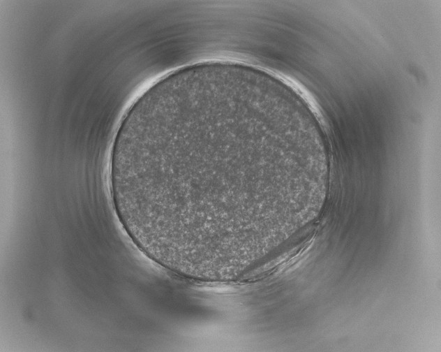 X0000114491199200911301059