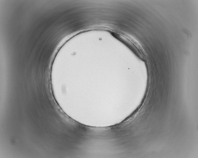 X0000114491200200911301059