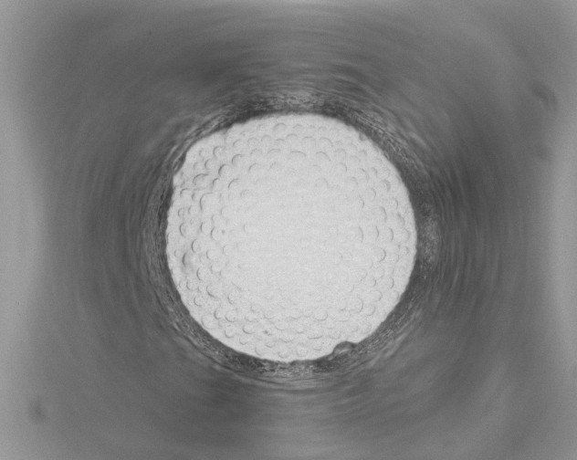 X0000114491201200911301058