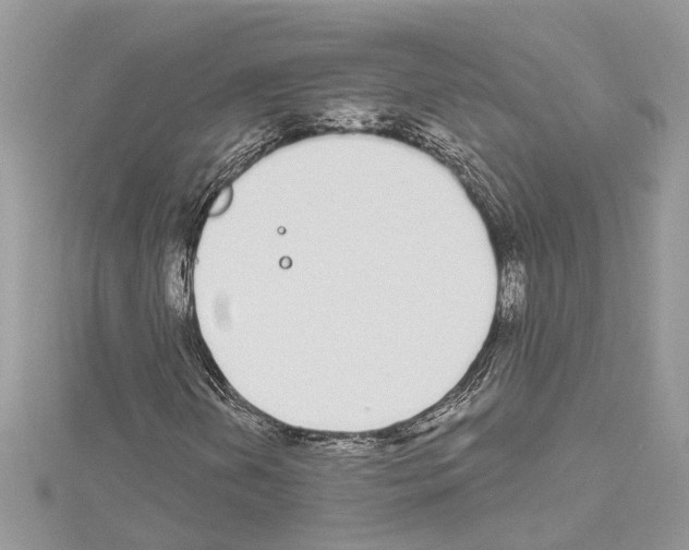 X0000114491202200911301058