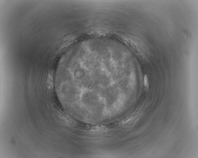 X0000114491203200911301058