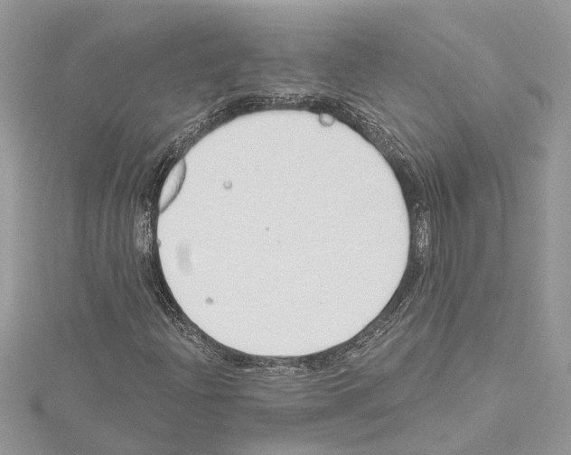 X0000114491204200911301058