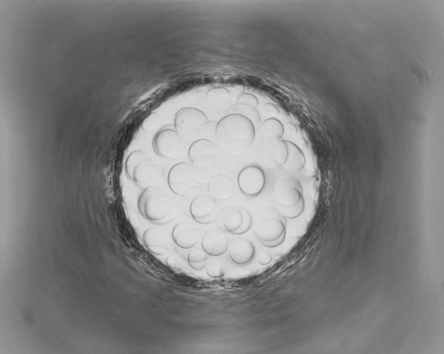 X0000114491205200911301058