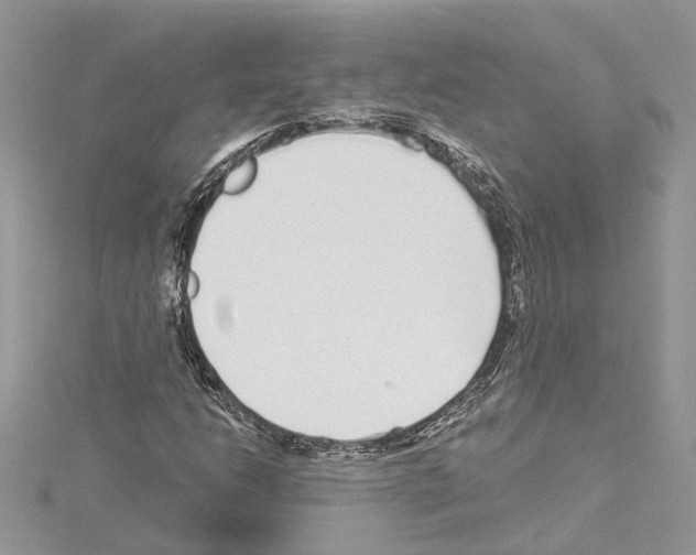 X0000114491206200911301058