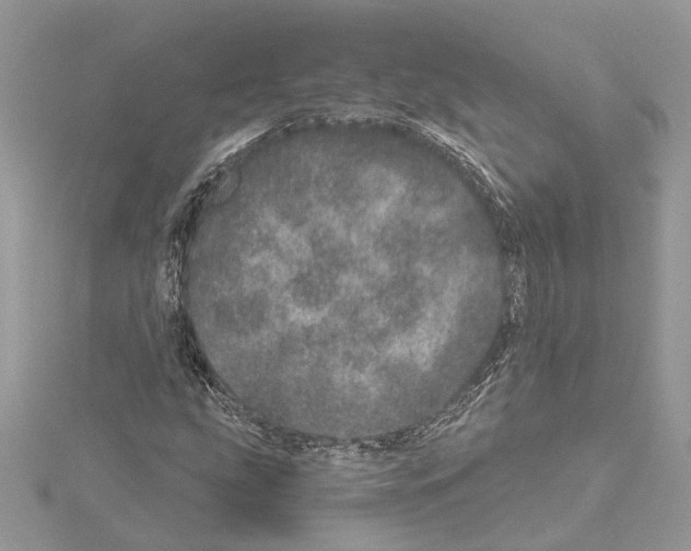 X0000114491207200911301059