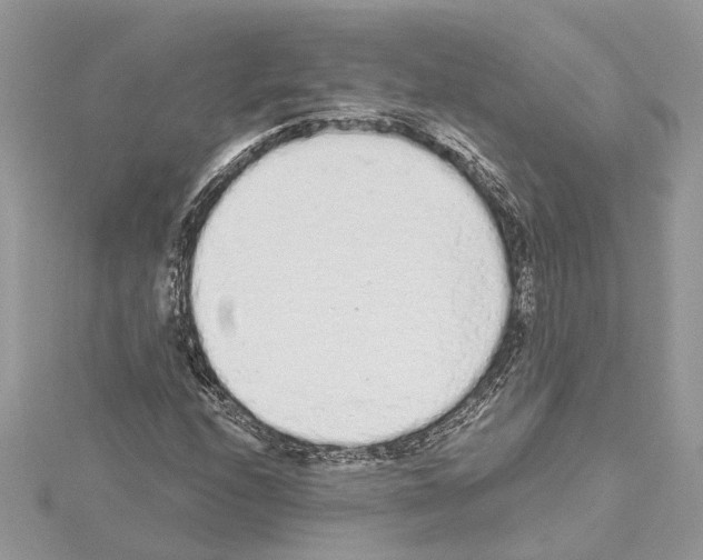 X0000114491208200911301059