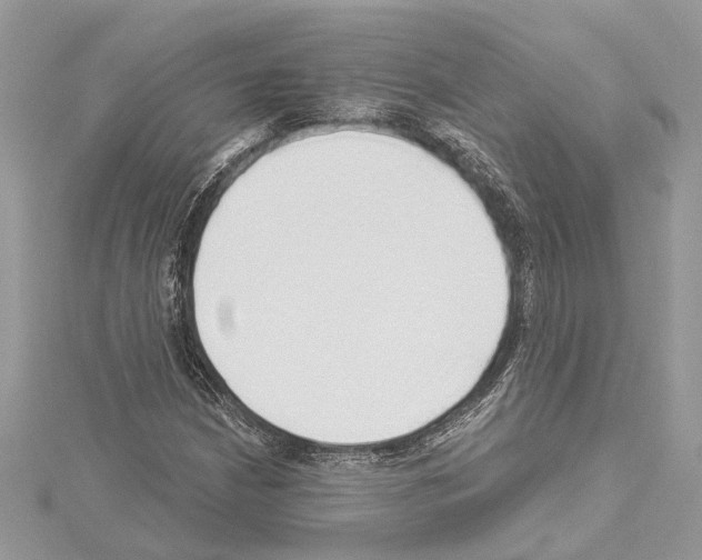 X0000114491210200911301059