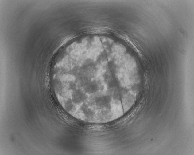 X0000114491211200911301059