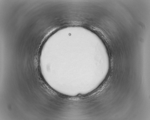 X0000114491212200911301059