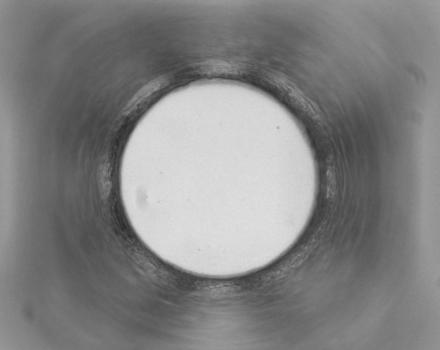 X0000114491213200911301059