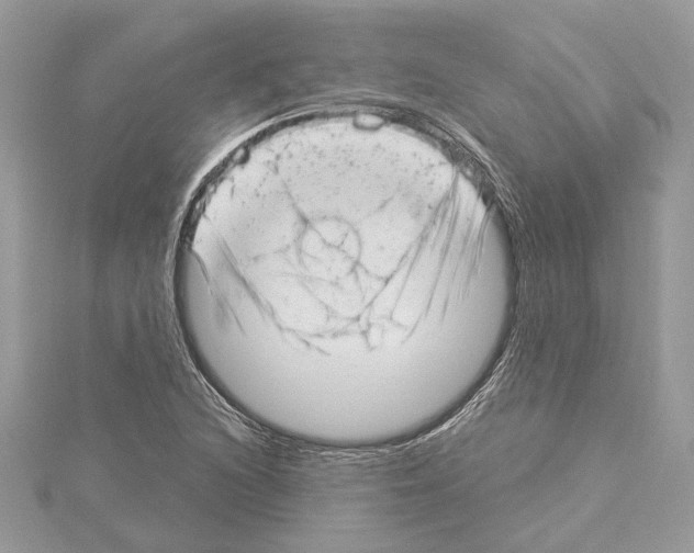 X0000114491216200911301059