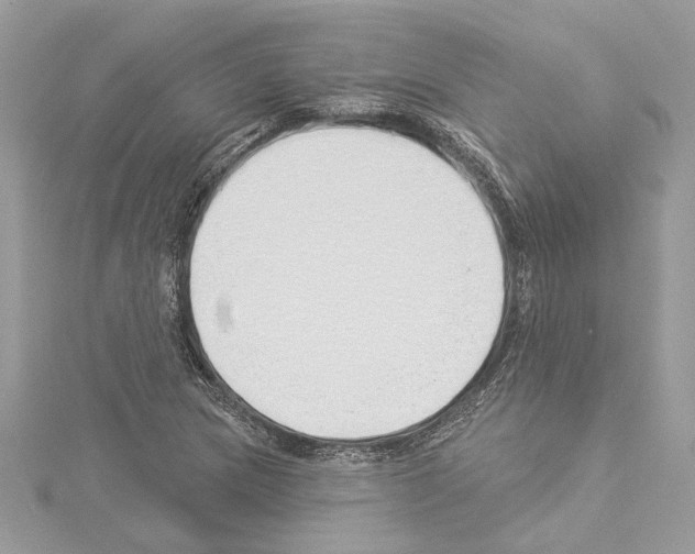 X0000114491217200911301059