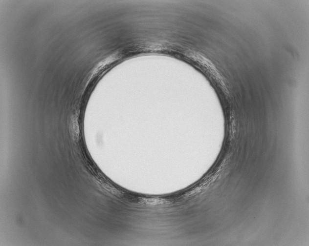 X0000114491218200911301059