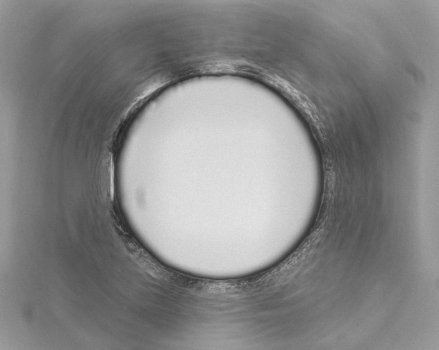 X0000114491219200911301059