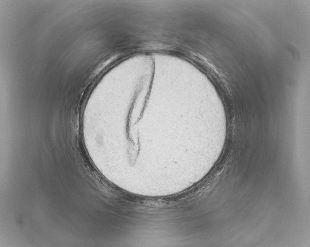 X0000114491220200911301059