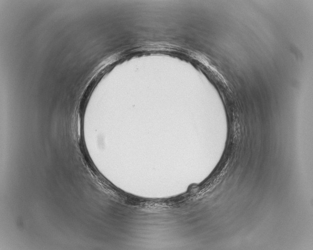 X0000114491221200911301059