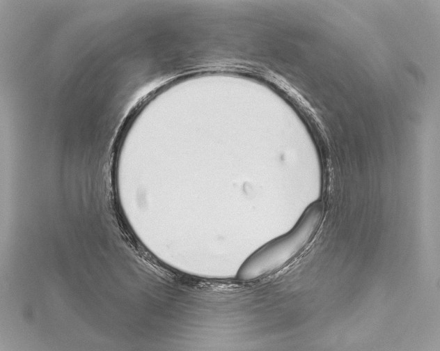 X0000114491222200911301059