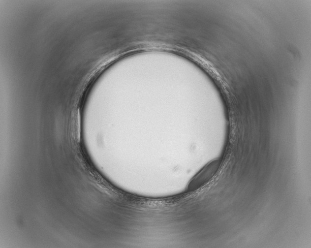 X0000114491223200911301059