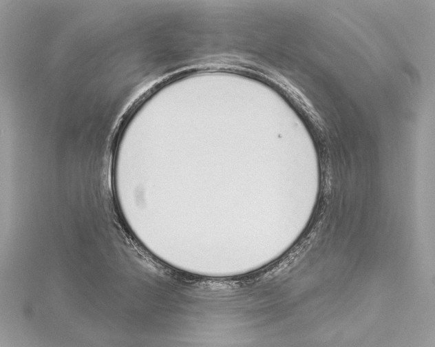 X0000114491224200911301059