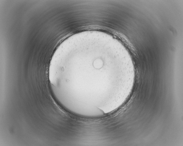 X0000114491225200911301059