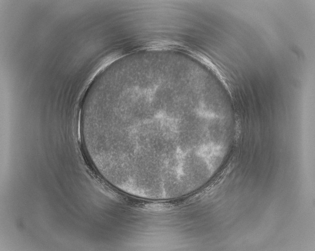 X0000114491227200911301059