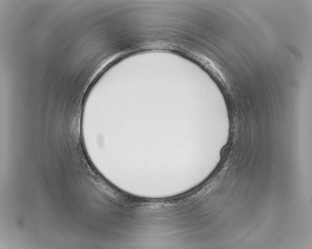 X0000114491228200911301059