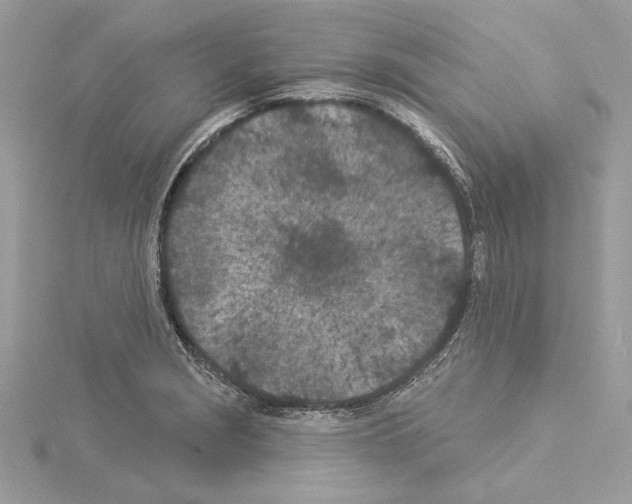 X0000114491229200911301059