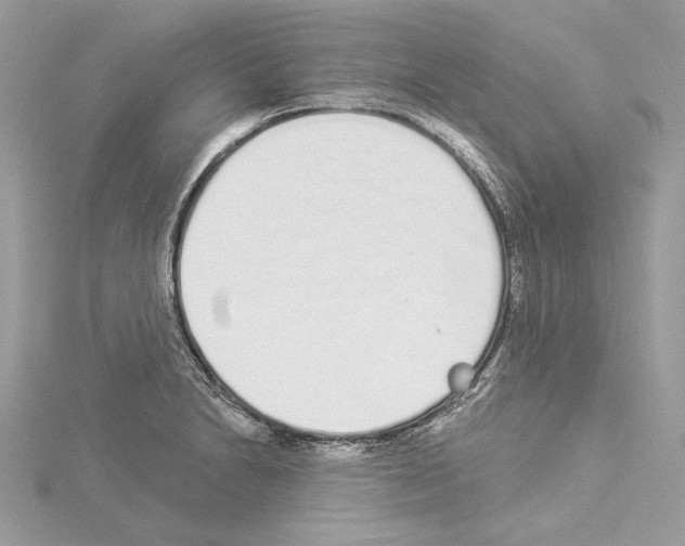 X0000114491230200911301059