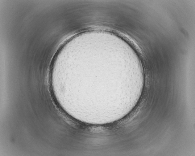 X0000114491231200911301059