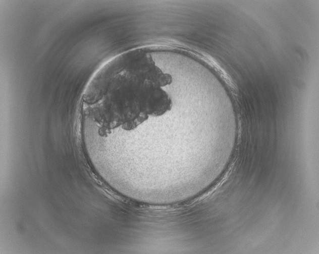 X0000114491232200911301059