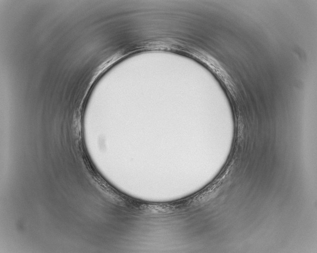 X0000114491234200911301059