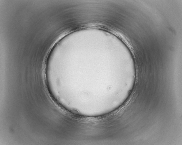 X0000114491235200911301059