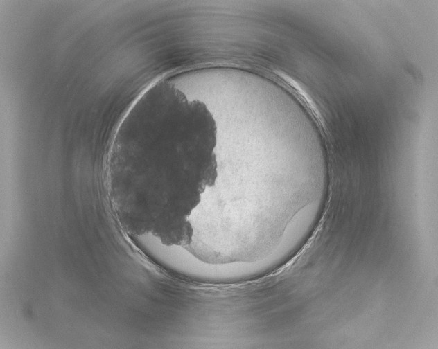 X0000114491236200911301059